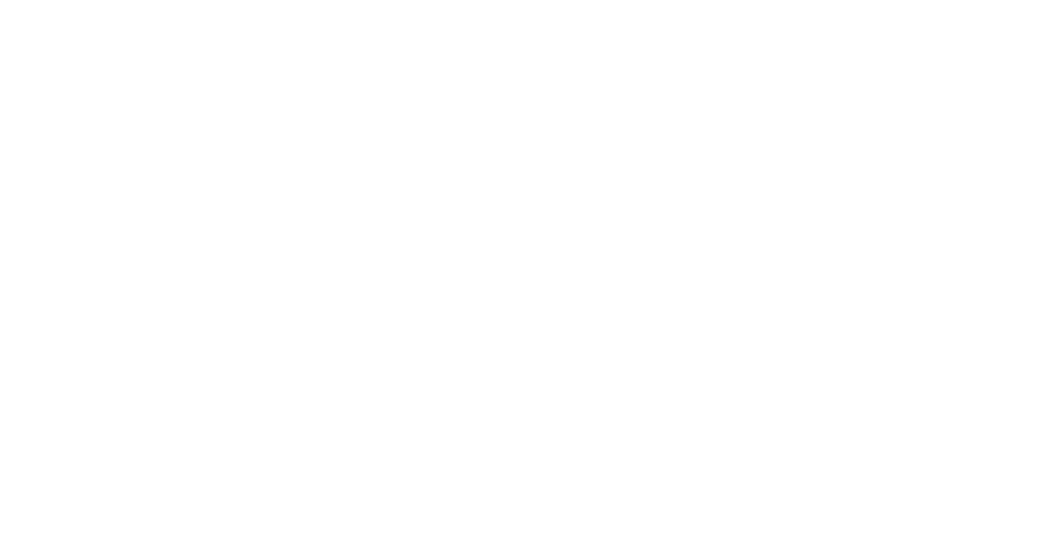 Dzenotik Vision